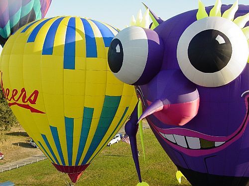 Cheers and Purple People Eater - Sonoma Hot Air Balloon Classic