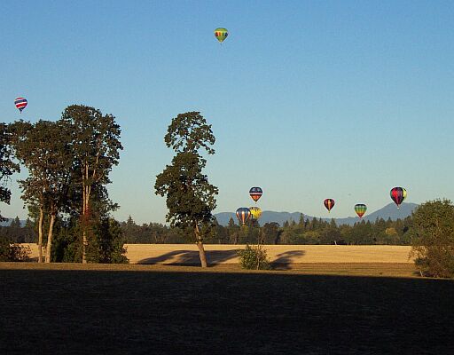 Balloons in Albany