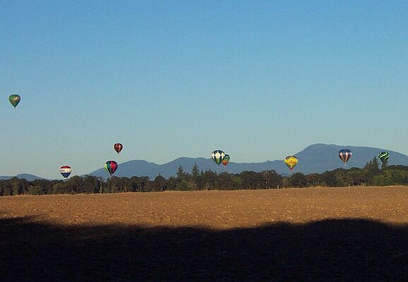 Balloons in Albany