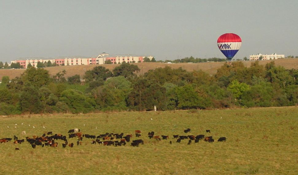 RE/MAX Nearing Valley Children's