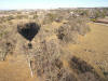 Cheers Balloon following the treeline back to town (Jackson, CA)